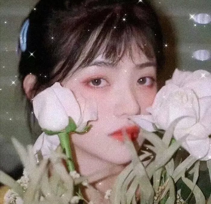 红罂粟